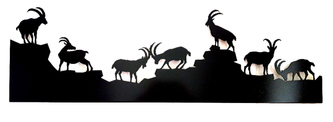 Bouquetinsalucatalogue